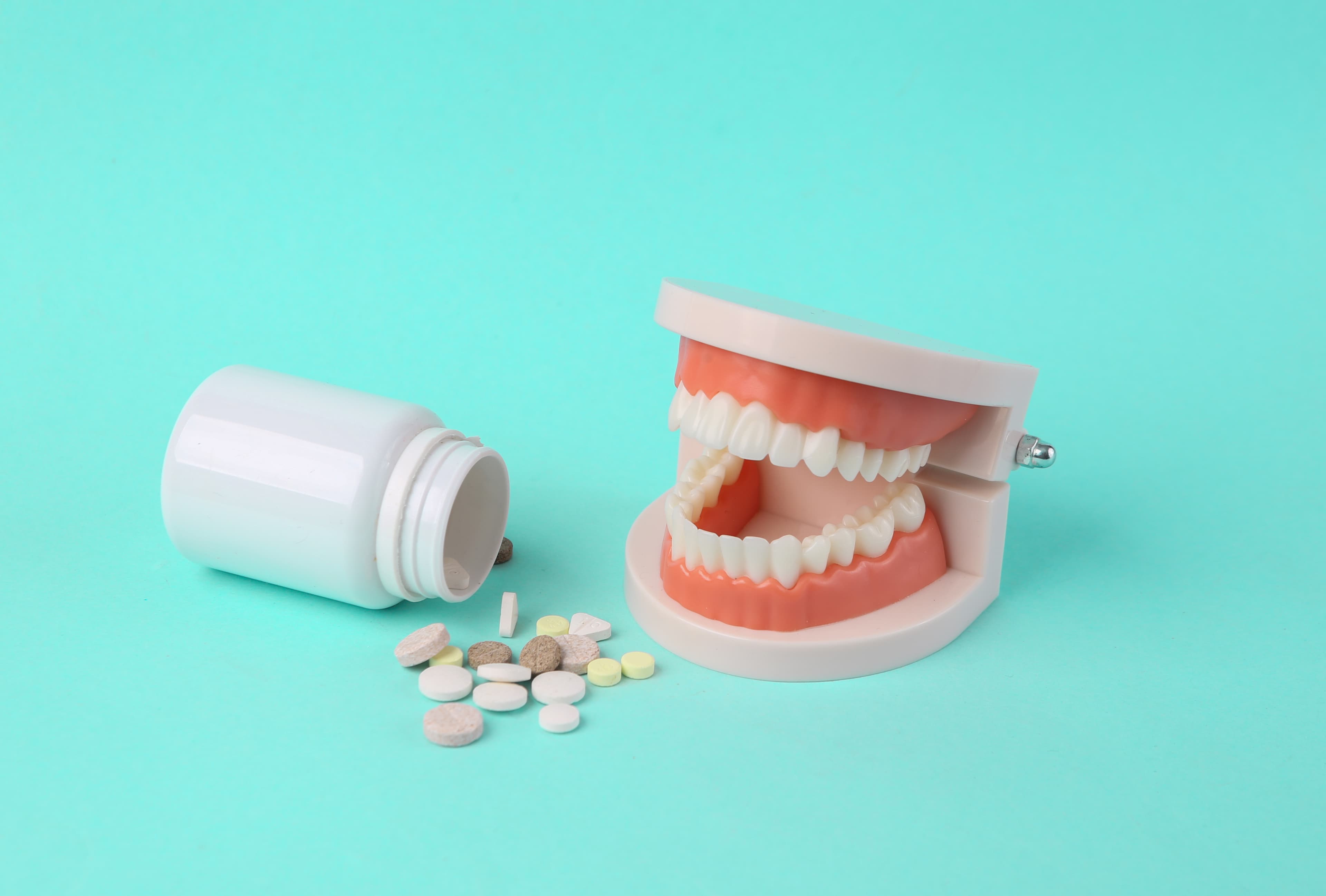 Plastic model of human jaw with pills